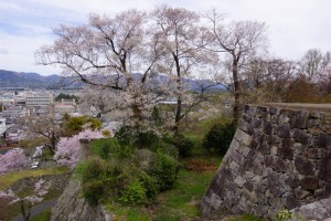 石垣と桜ー津山城跡ー