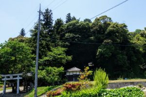 徳蔵神社の森ー郷土記念物ー