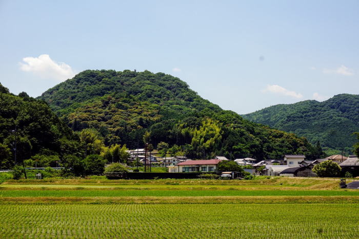 徳倉城跡